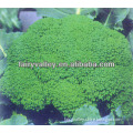 2015 Top Quality F1 Hybrid Green Cauliflower Seeds Broccoli Seeds For Sale